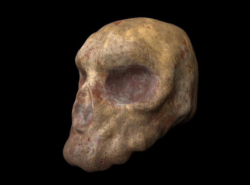 3d_9