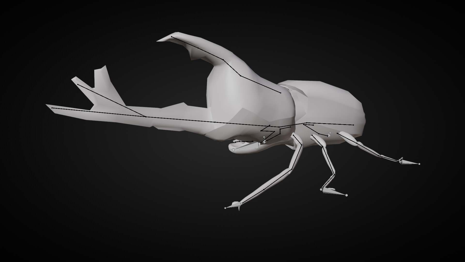 Beetle Bones